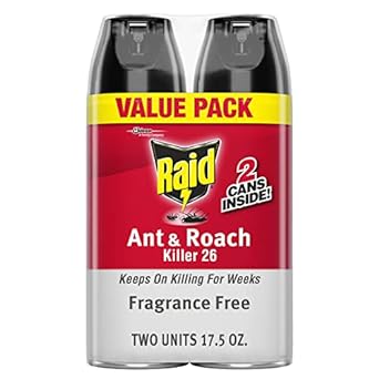 Raid® Ameisen- und Kakerlakenvernichtungsspray, parfümfrei, 17,5 Unzen, 2er-Pack 