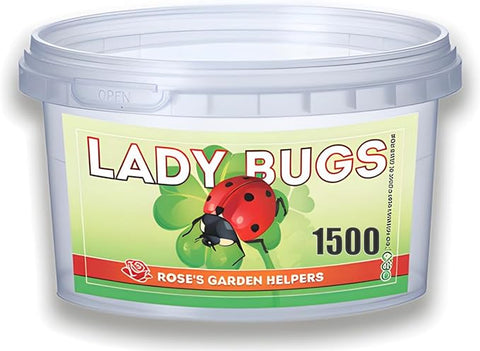 1500 Live Ladybugs - Hippodamia Convergens - Guaranteed Live Deliver - Plastic Container for Moth (1500)