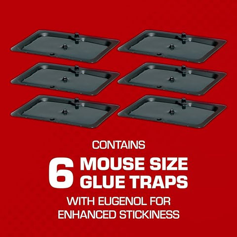 Tomcat Glue Traps Mouse Size with Eugenol for Enhanced Stickiness for Mice, Cockroaches, and Spiders, 6 Traps