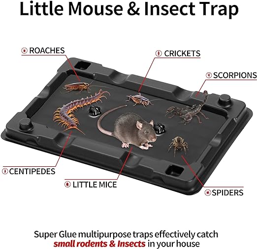 LULUCATCH Mouse & Insect Traps 12 Pack, Heavier Sticky Traps with Non-Toxic Glue for Small Mice & Insects. Sticky Mouse Traps Indoor, Easy to Set, Safe to Children & Pets