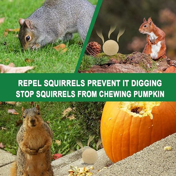 SUAVEC Squirrel Repellent Outdoor, Chipmunk Repellent, Squirrels Repellent for Garden, Squirrel Deterrent Mint, Indoor Repellent Squirrels for Attic, Keep Squirrel Away for Bird Feeders/Plants-8P